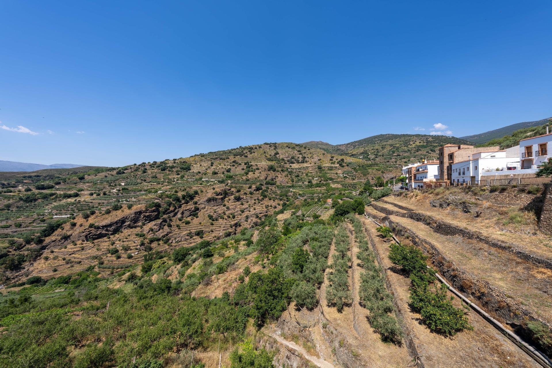 Casas o chalets-Venta-Ohanes-2414600-Foto-36