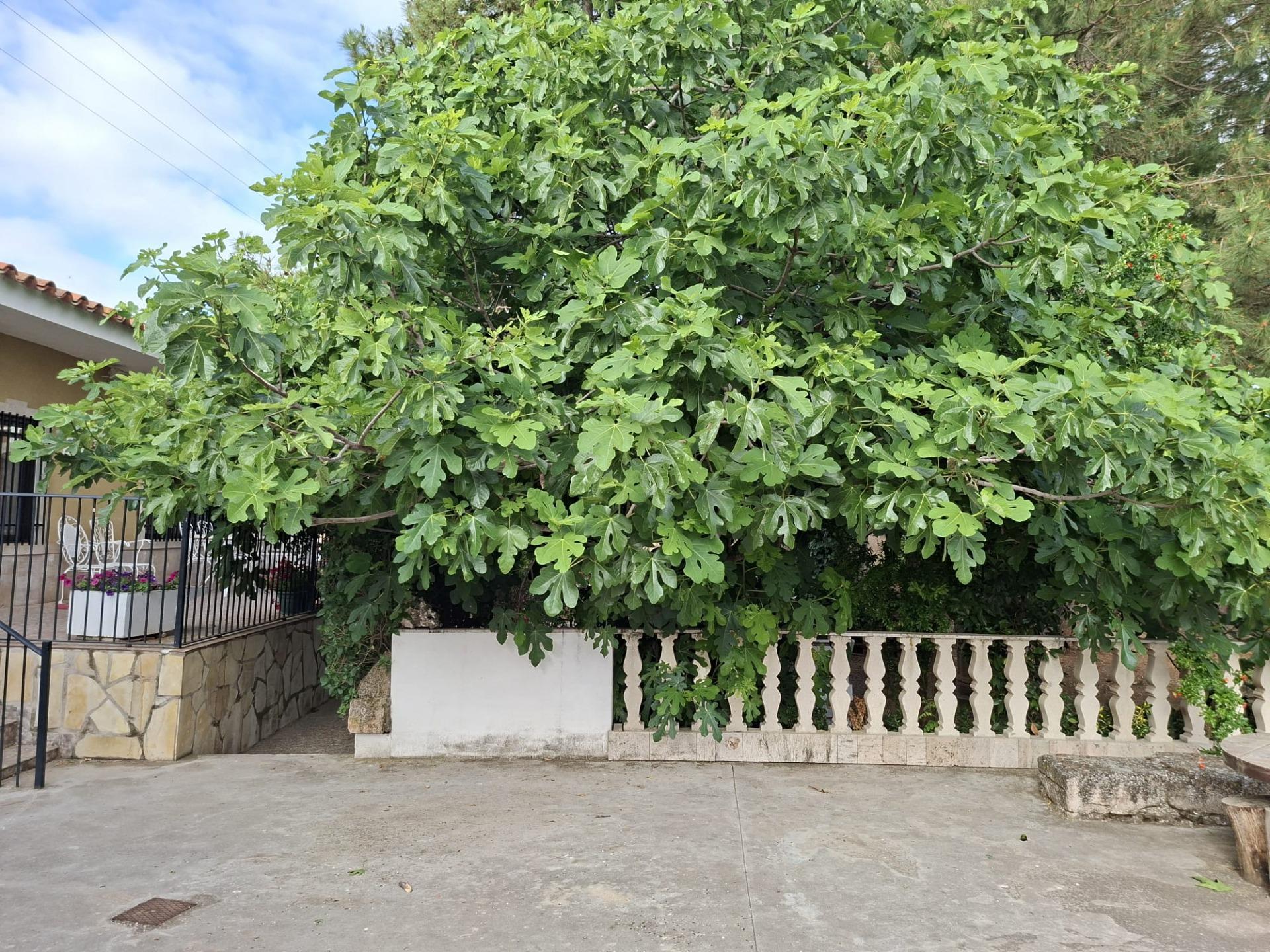 Pisos-Venta-La Almarcha-2422286-Foto-46