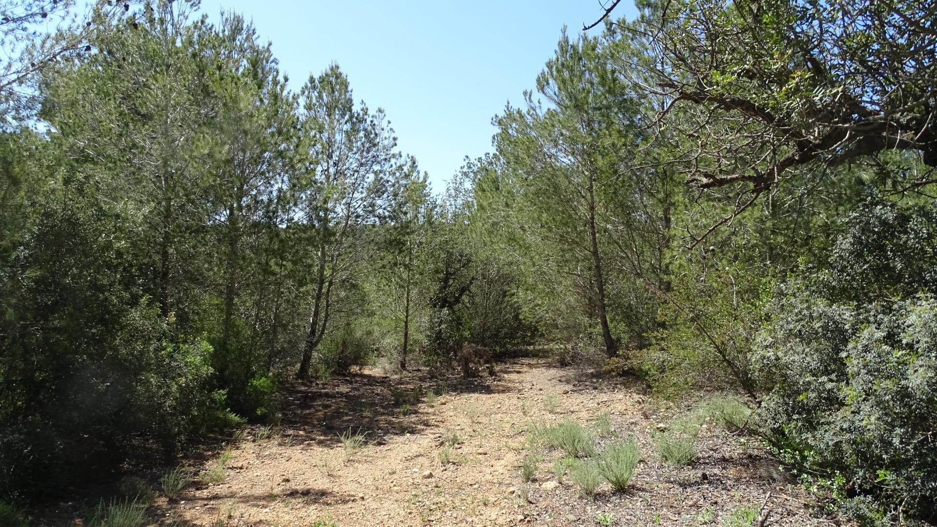 Fincas y solares-Venta-Vilamarxant-2087533-Foto-18