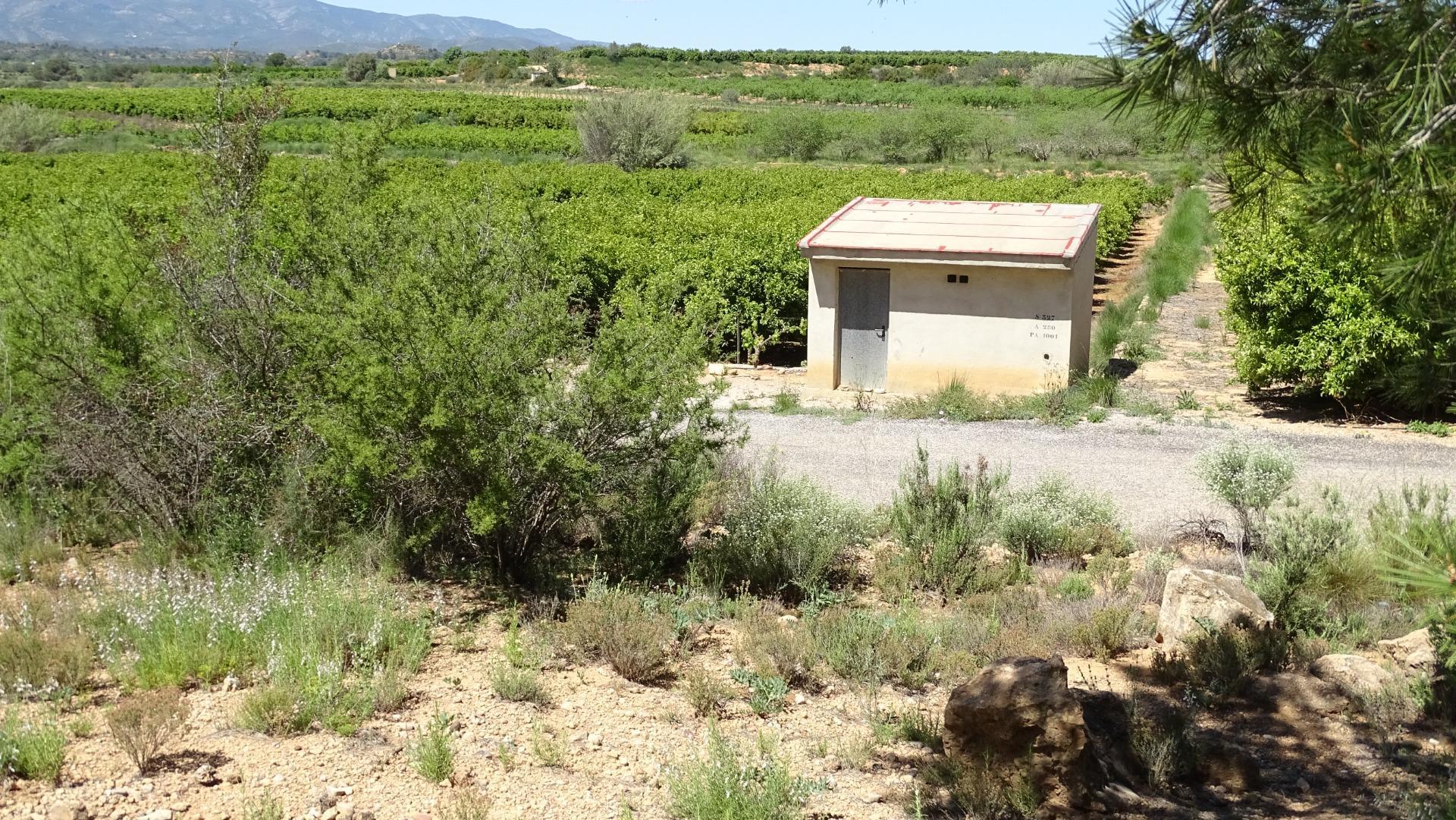 Fincas y solares-Venta-Vilamarxant-2087533-Foto-27