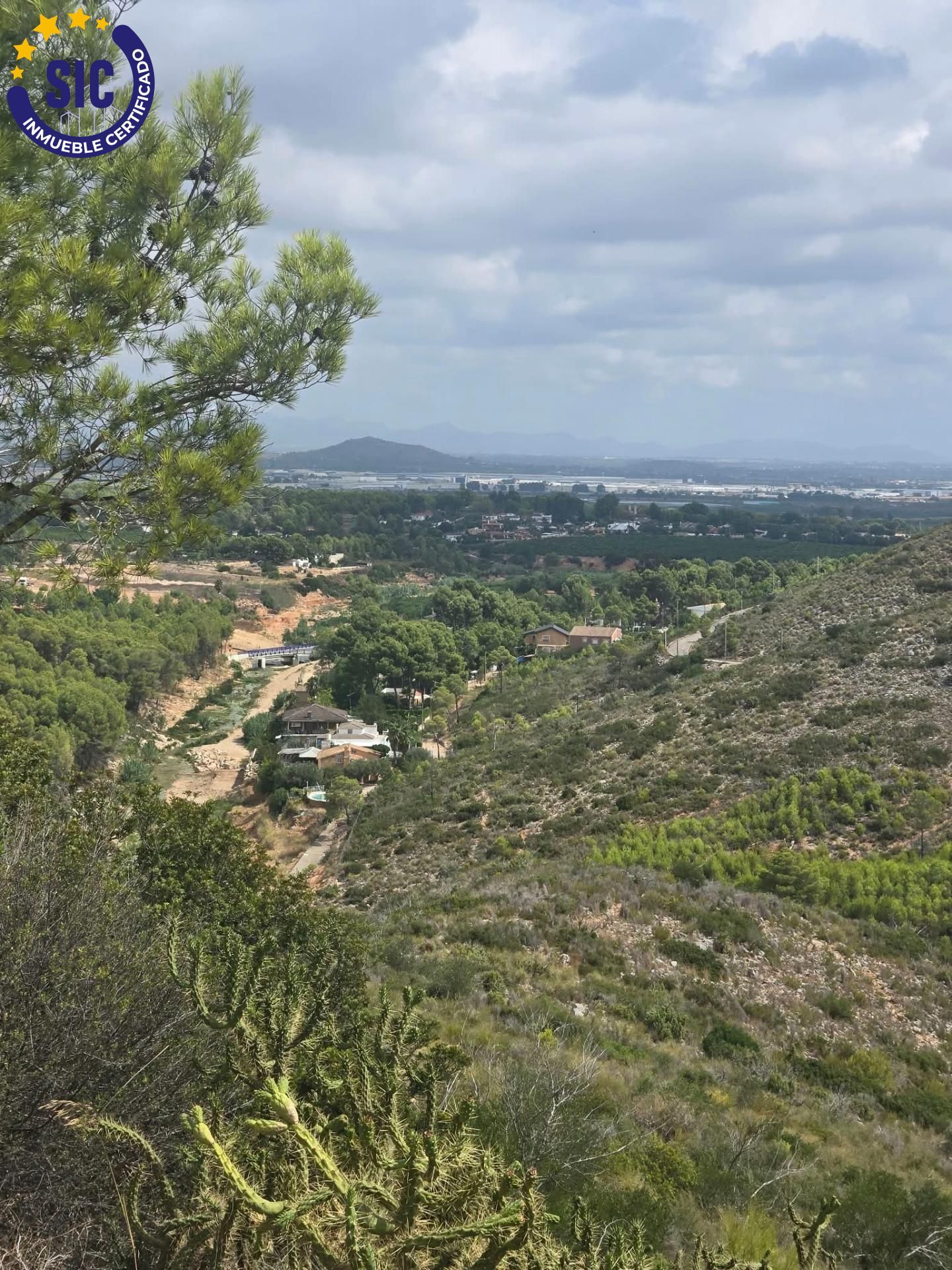 Fincas y solares-Venta-Torrent-2416601