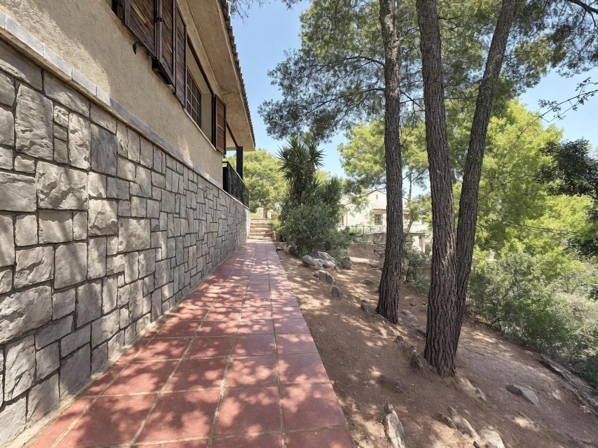 Casas o chalets-Venta-NÃ¡quera-2414273-Foto-30