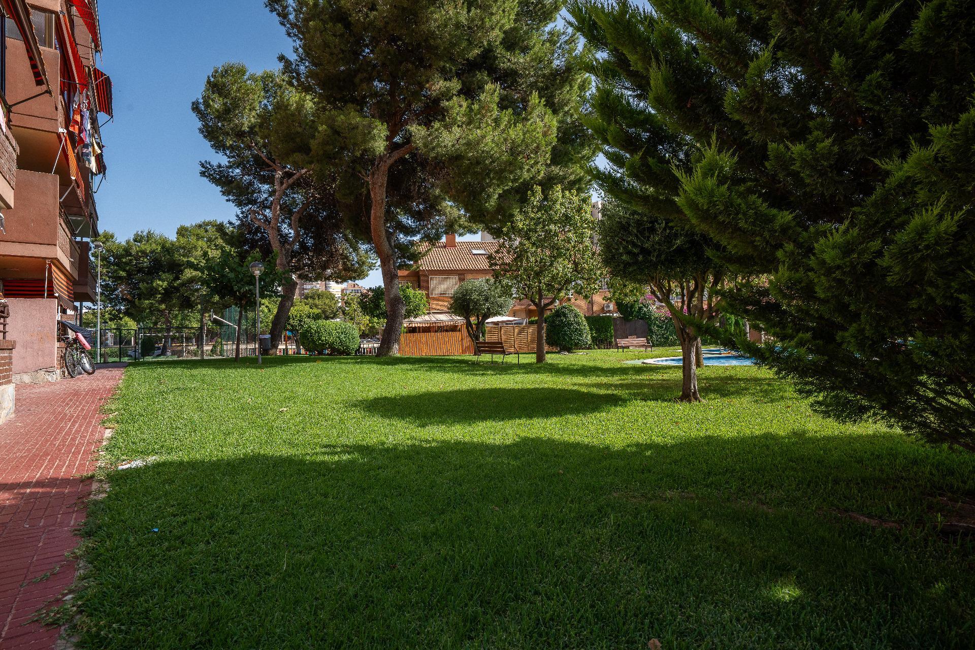 Pisos-Venta-Alicante-2422304-Foto-36