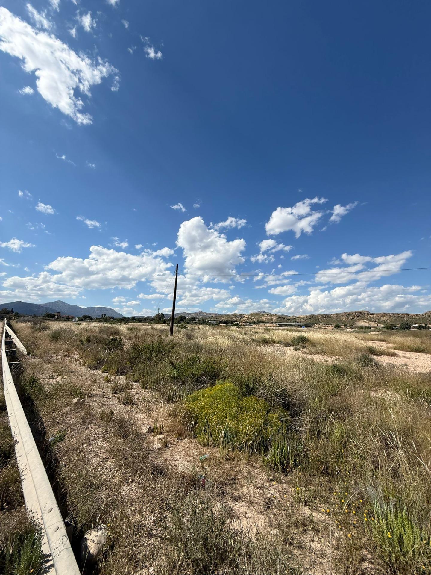 Fincas y solares-Venta-San Vicente del Raspeig-2422307-Foto-4