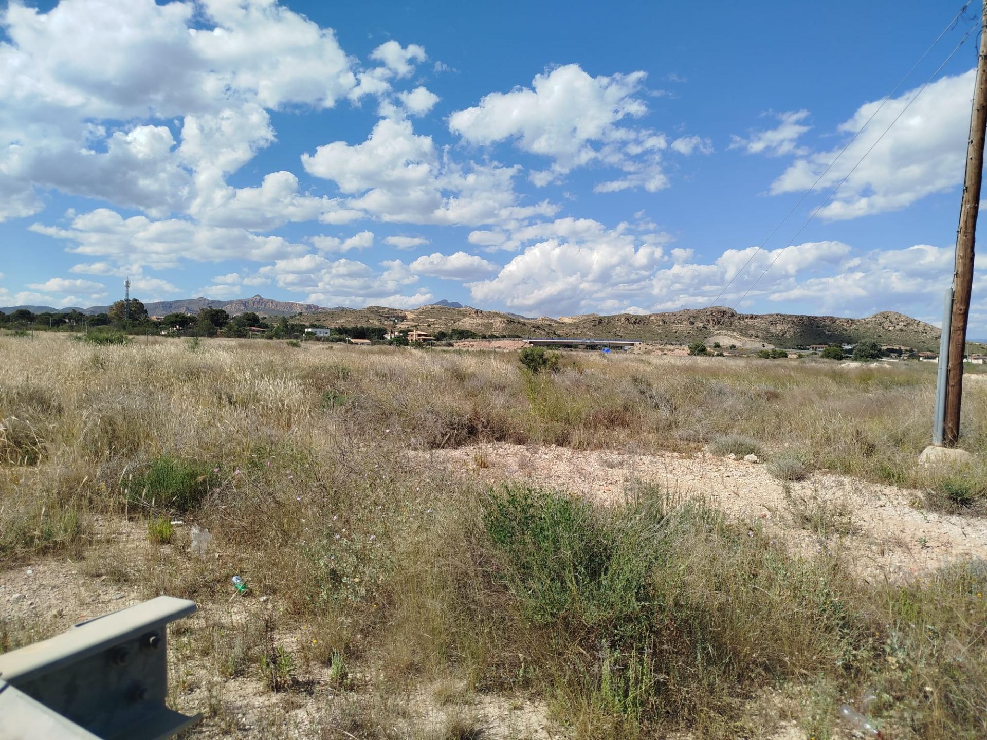 Fincas y solares-Venta-San Vicente del Raspeig-2422307-Foto-6