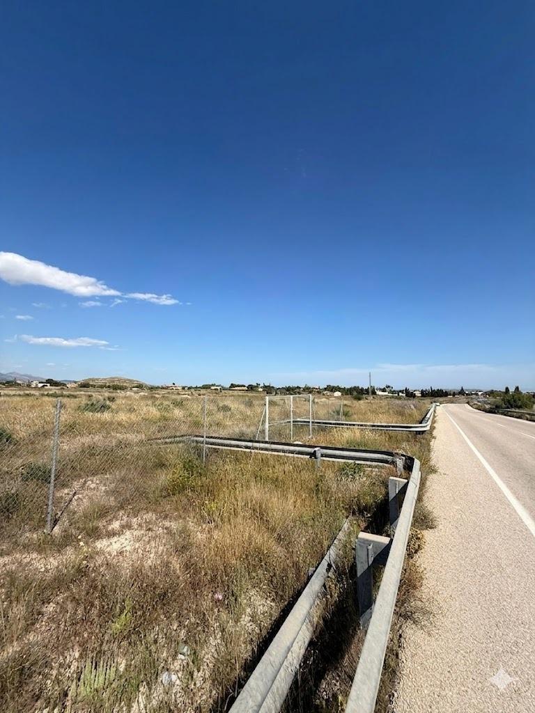 Fincas y solares-Venta-San Vicente del Raspeig-2422307-Foto-7
