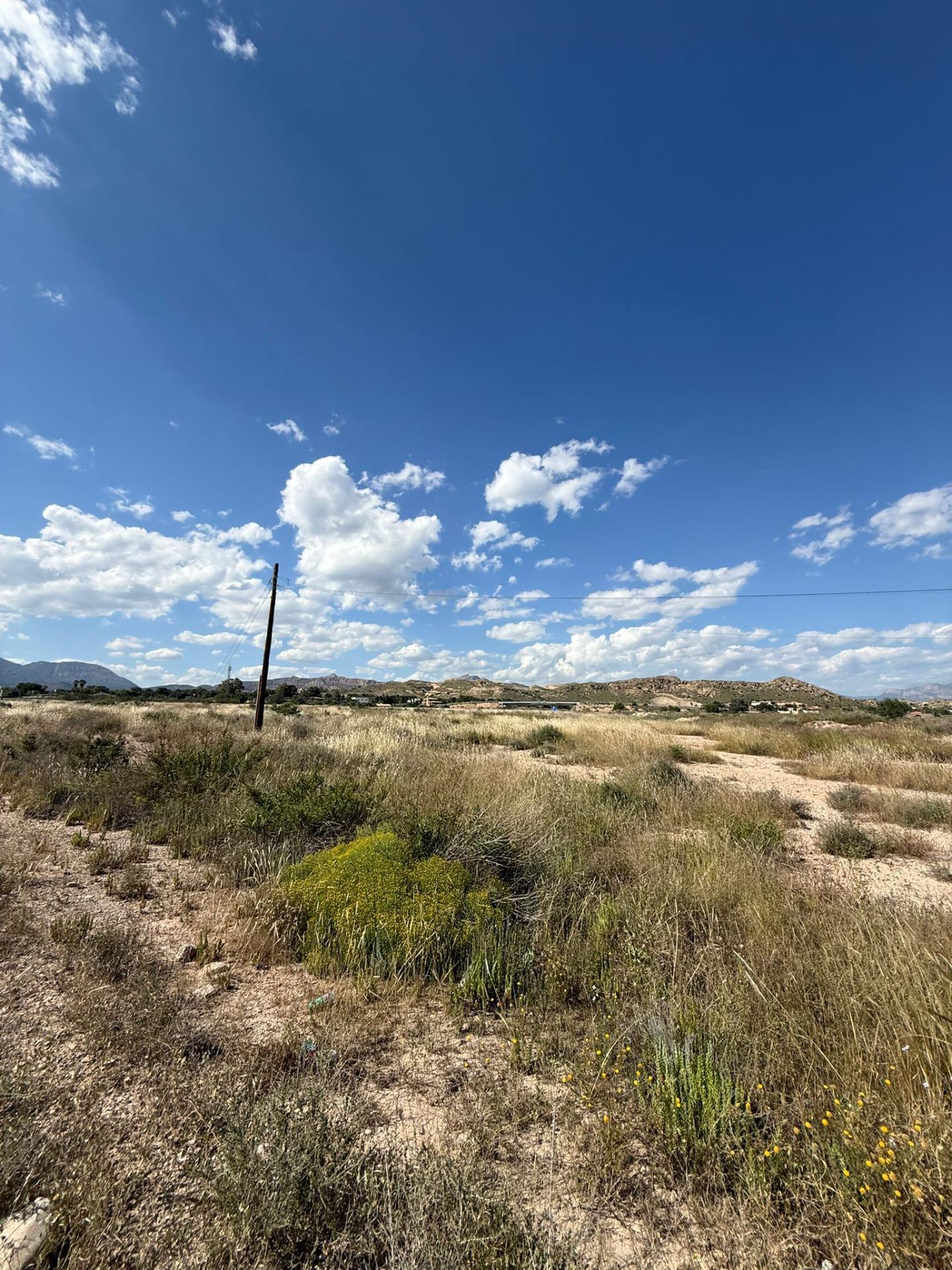 Fincas y solares-Venta-San Vicente del Raspeig-2422307-Foto-8