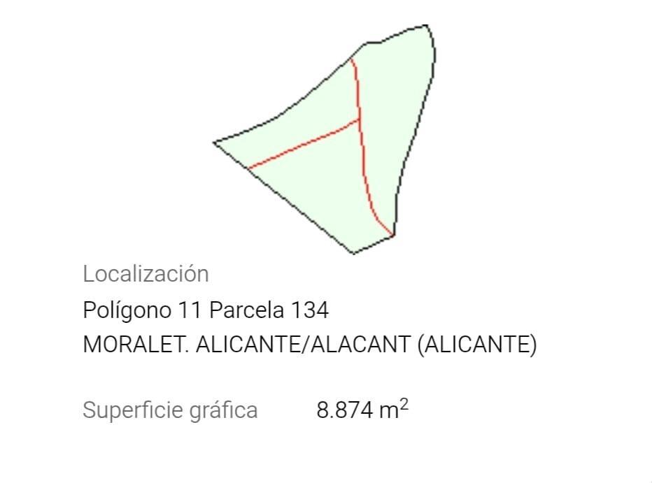 Fincas y solares-Venta-San Vicente del Raspeig-2422307-Foto-12