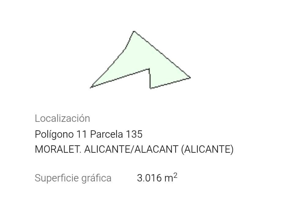 Fincas y solares-Venta-San Vicente del Raspeig-2422307-Foto-14