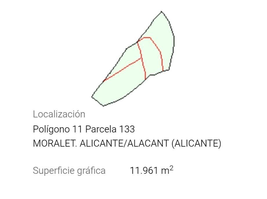 Fincas y solares-Venta-San Vicente del Raspeig-2422307-Foto-13