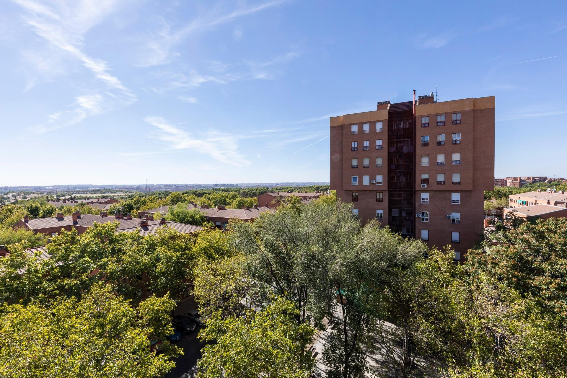 Pisos-Venta-Madrid-2422744-Foto-7