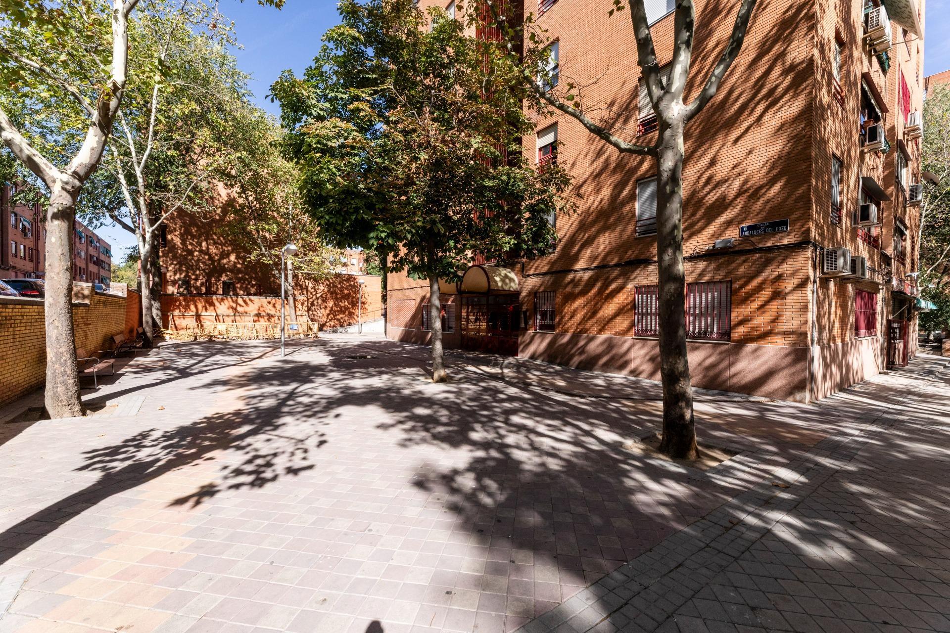 Pisos-Venta-Madrid-2422744-Foto-32