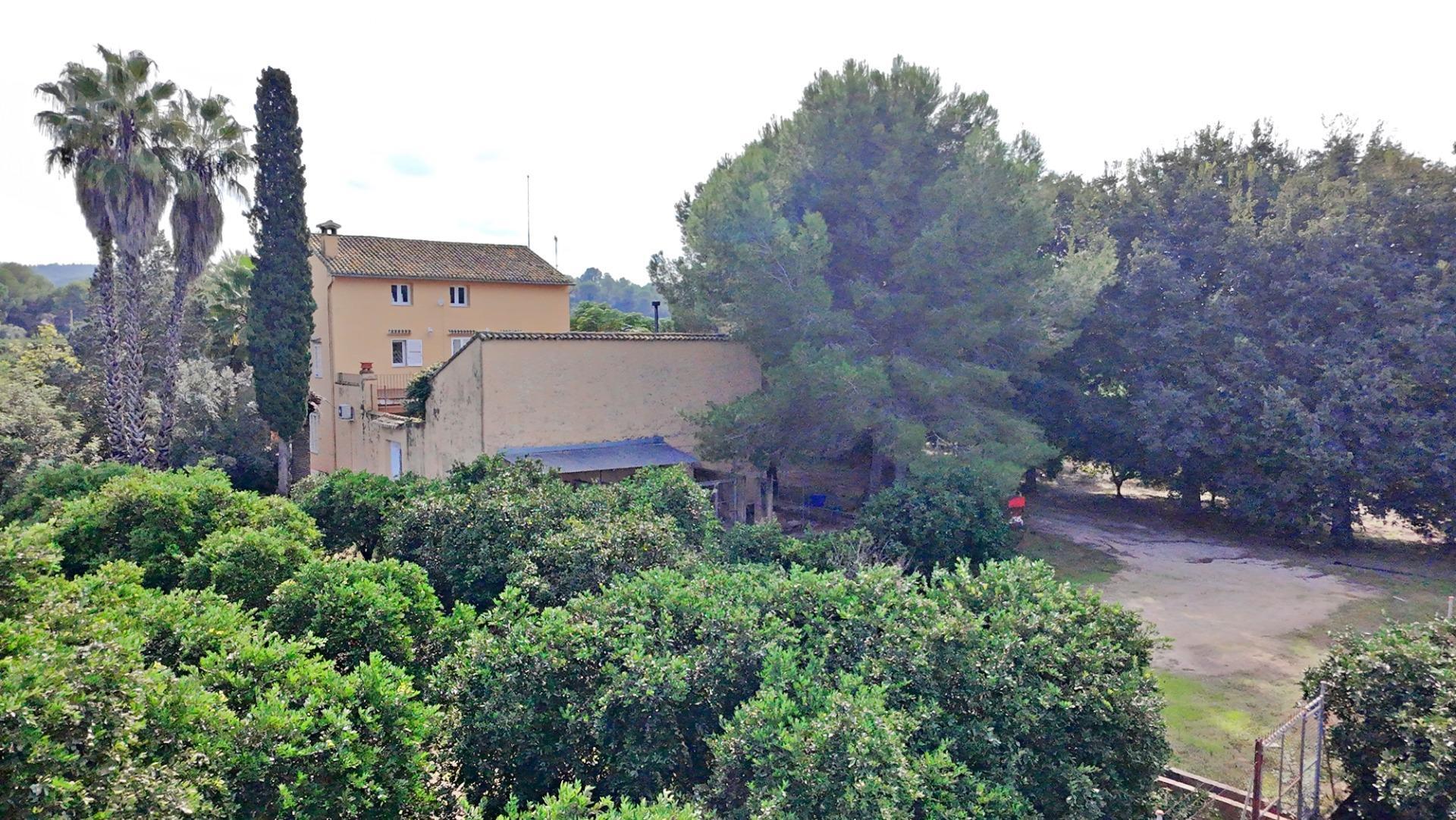 Pisos-Venta-Carcaixent-1751849-Foto-19