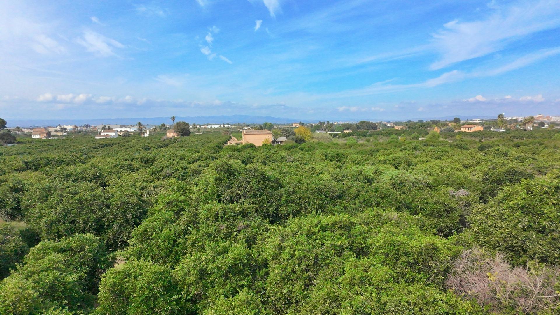 Pisos-Venta-Carcaixent-1751849-Foto-20