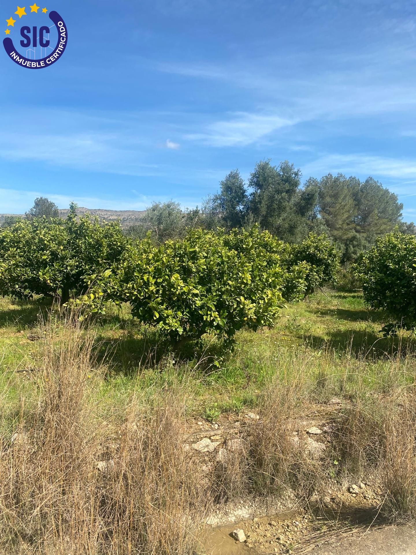Fincas y solares-Venta-Quatretonda-2422575-Foto-2
