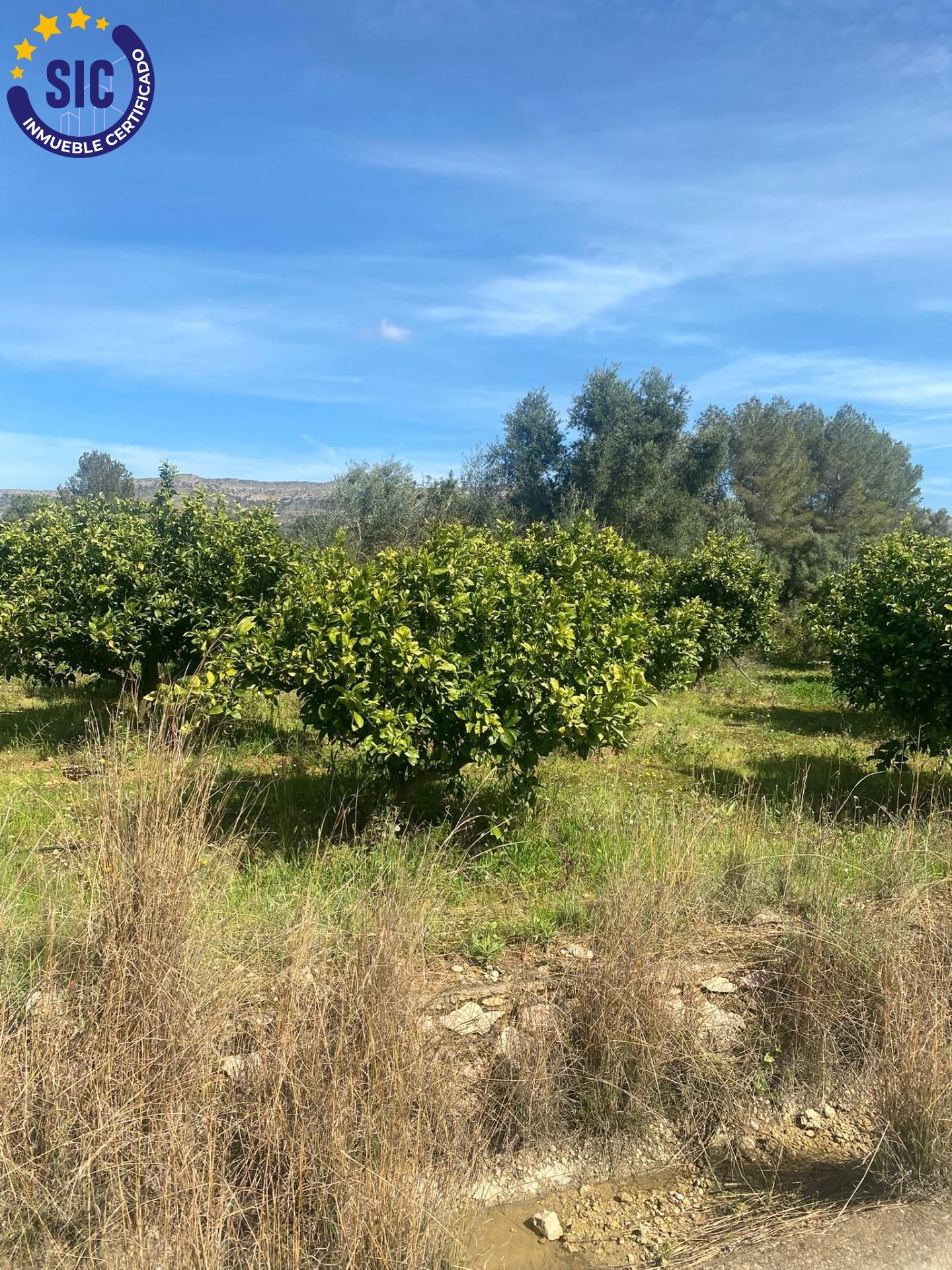 Fincas y solares-Venta-Quatretonda-2422575-Foto-11
