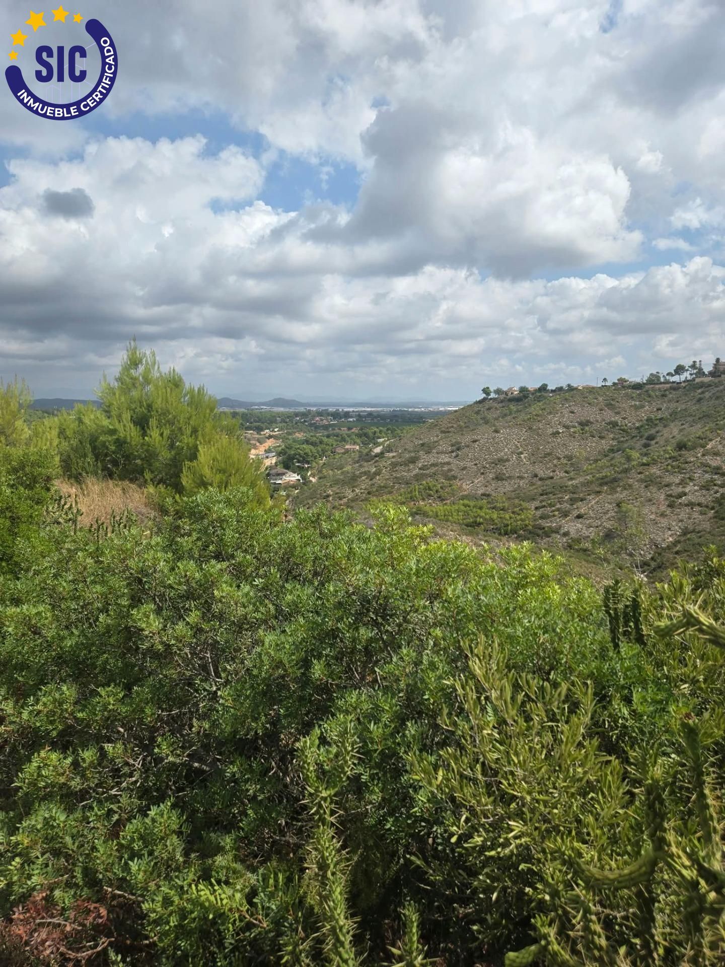 Fincas y solares-Venta-Torrent-2416601-Foto-10
