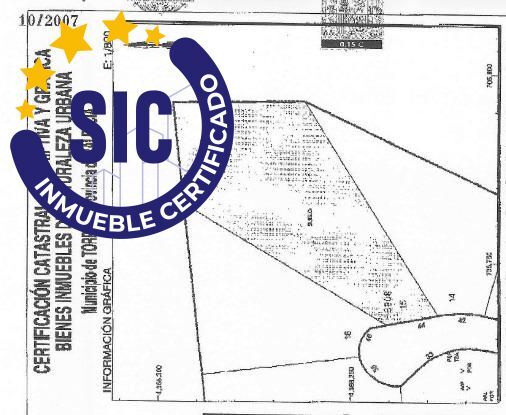 Fincas y solares-Venta-Torrent-2416601-Foto-19