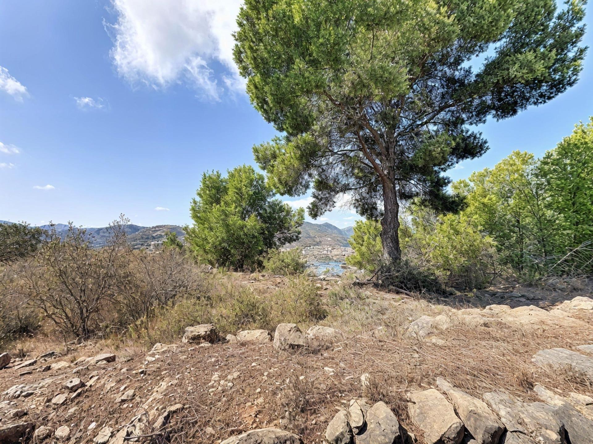 Casas o chalets-Venta-Pedreguer-2411064-Foto-21