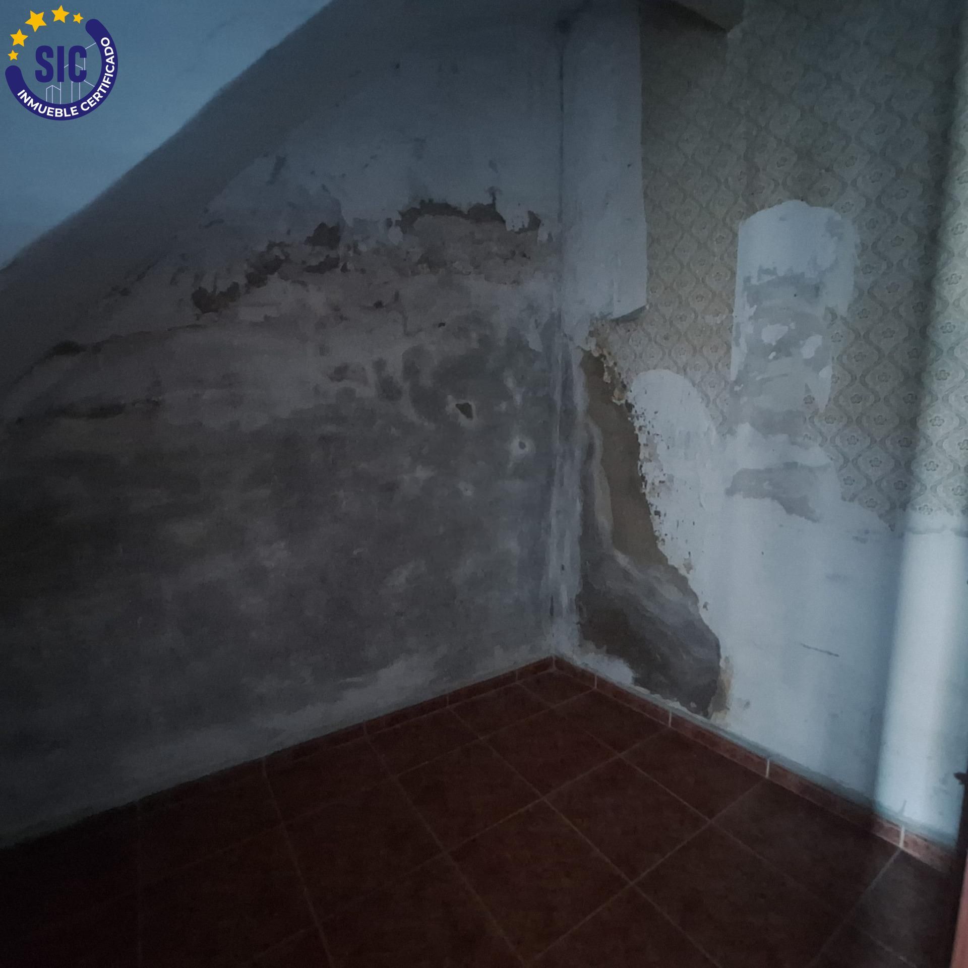 Pisos-Venta-BeniarjÃ³-2415266-Foto-9