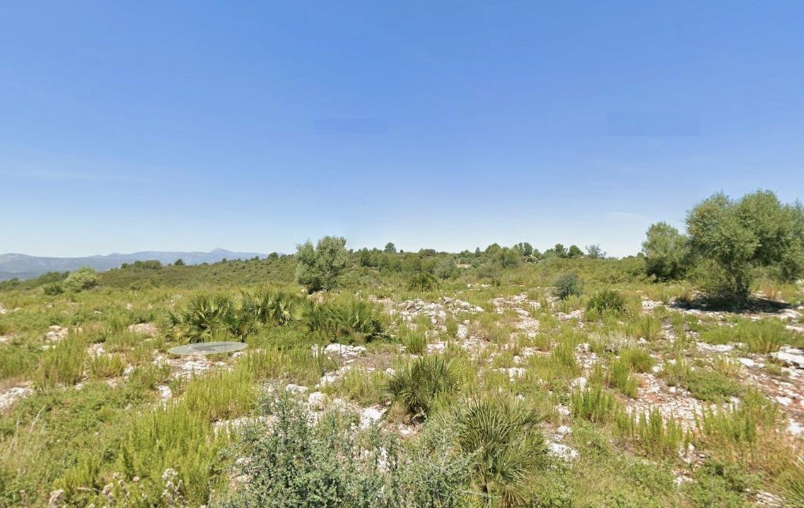 Fincas y solares-Venta-Vall d'Alba-2422590-Foto-7