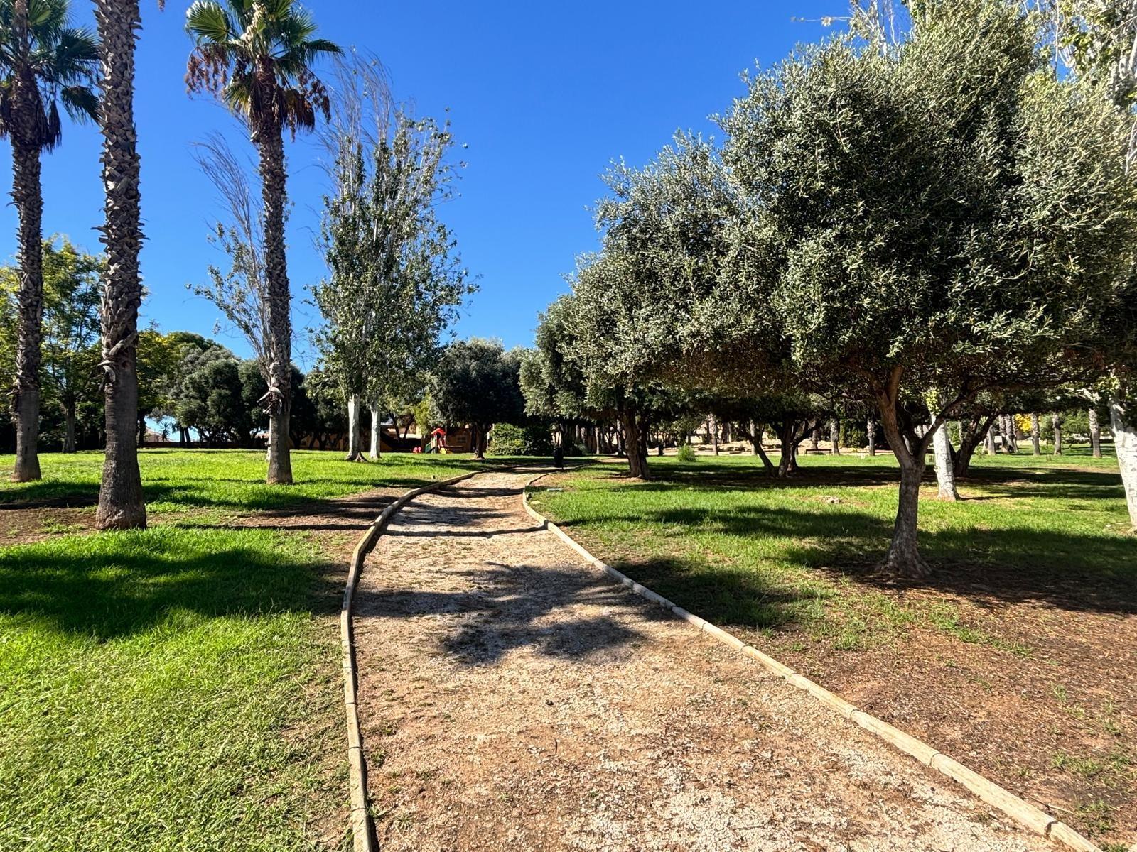 Casas o chalets-Venta-Torrevieja-2425828-Foto-33