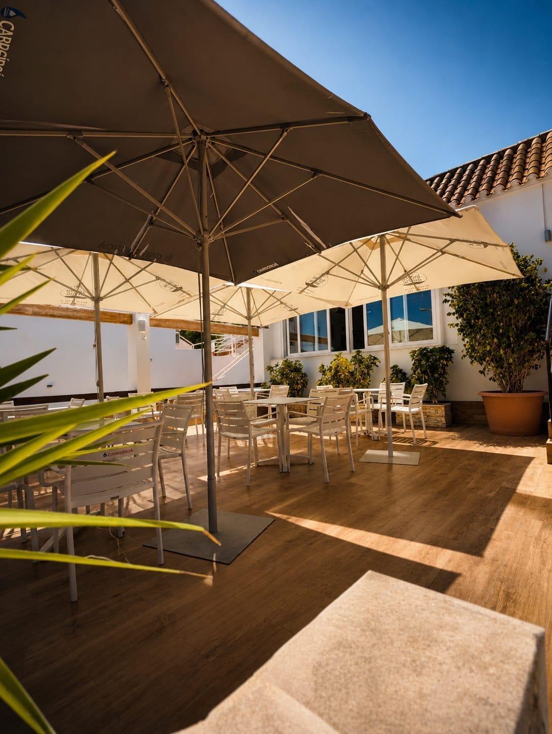 Negocios-Venta-Orihuela-2422599-Foto-3