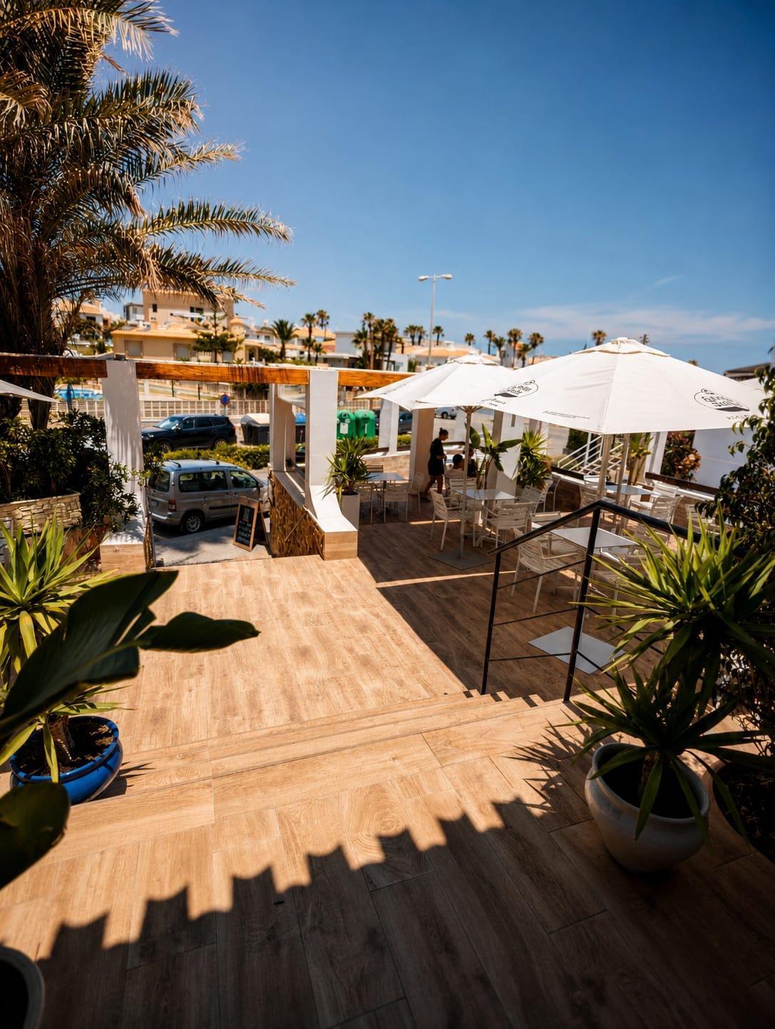 Negocios-Venta-Orihuela-2422599-Foto-10