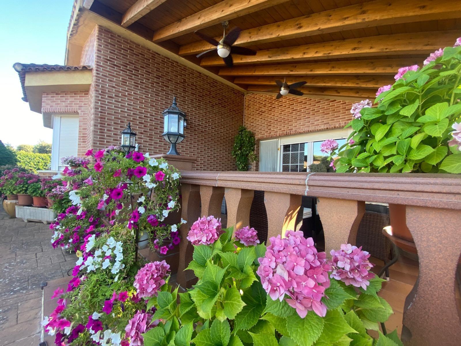Casas o chalets-Venta-Nuevo BaztÃ¡n-2421389-Foto-7
