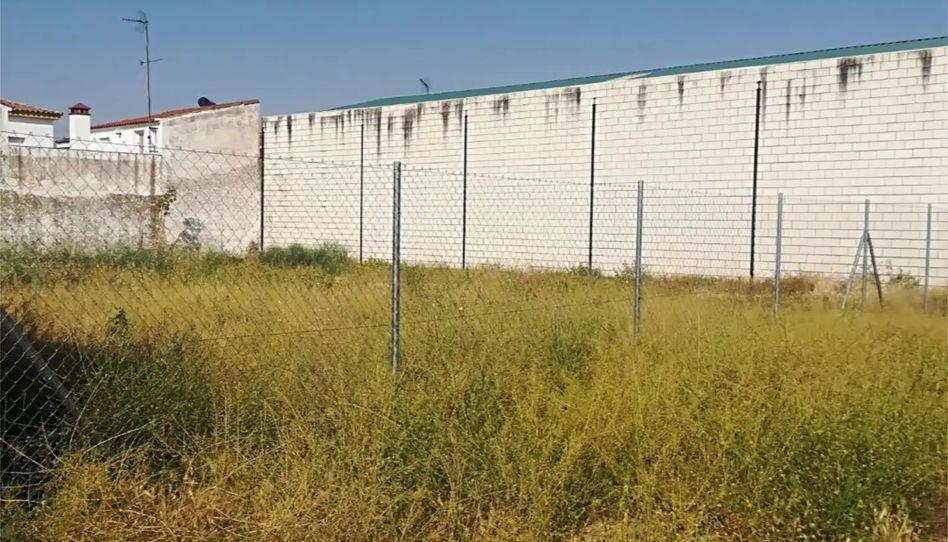Fincas y solares-Venta-Los Santos de Maimona-2423426-Foto-2