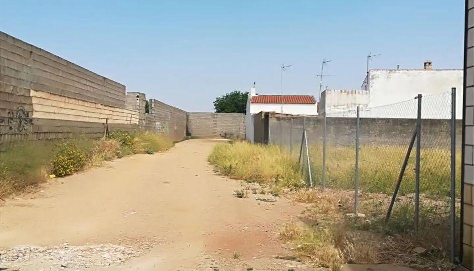 Fincas y solares-Venta-Los Santos de Maimona-2423426-Foto-5