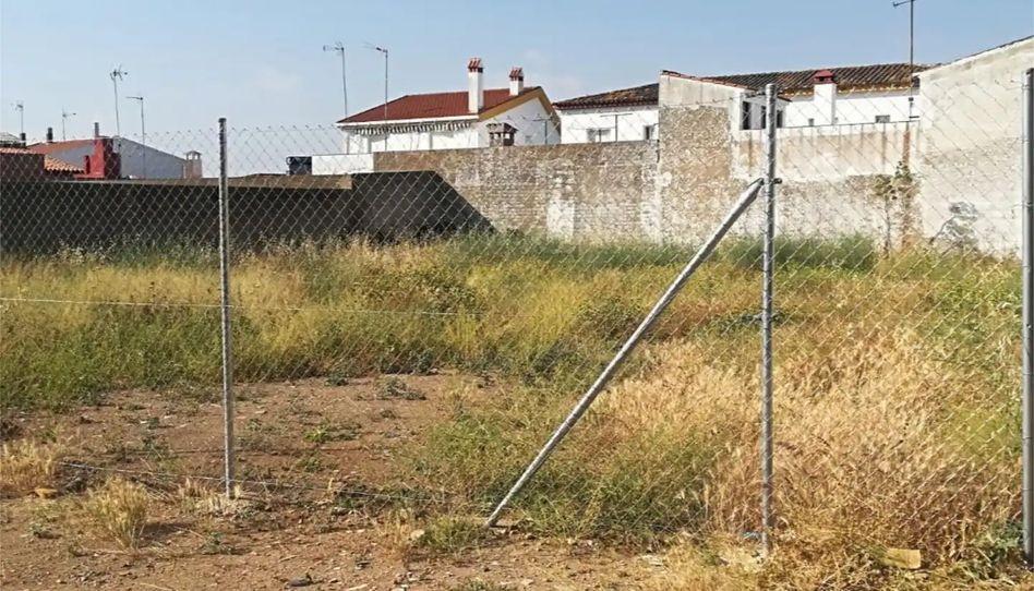 Fincas y solares-Venta-Los Santos de Maimona-2423426-Foto-3