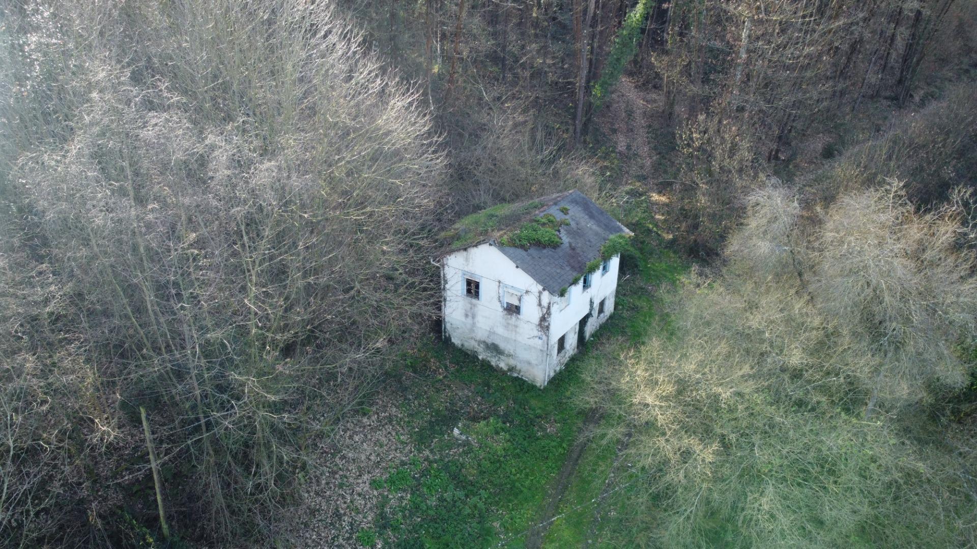 Casas o chalets-Venta-Tineo-2115392