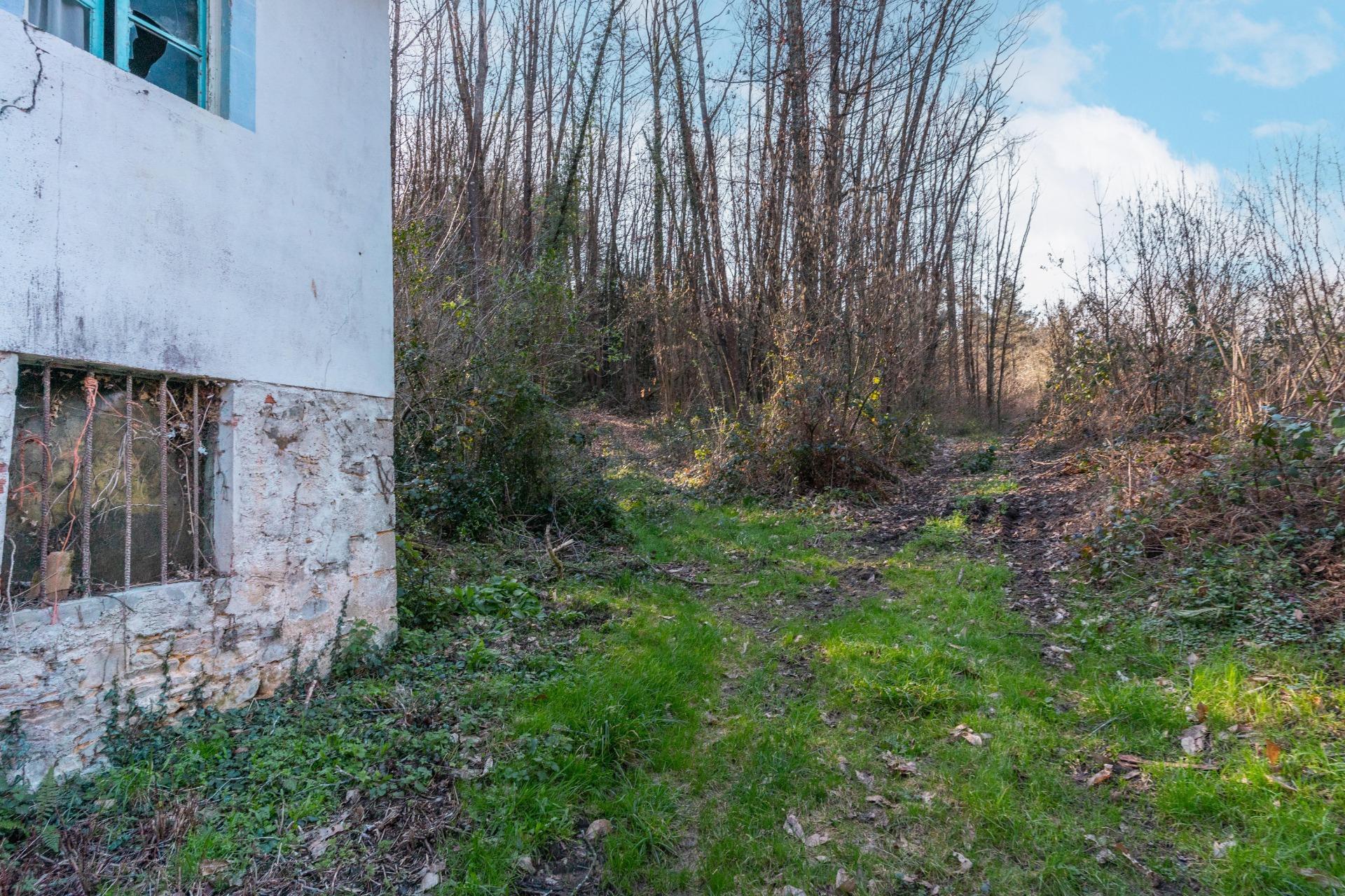 Casas o chalets-Venta-Tineo-2115392-Foto-19