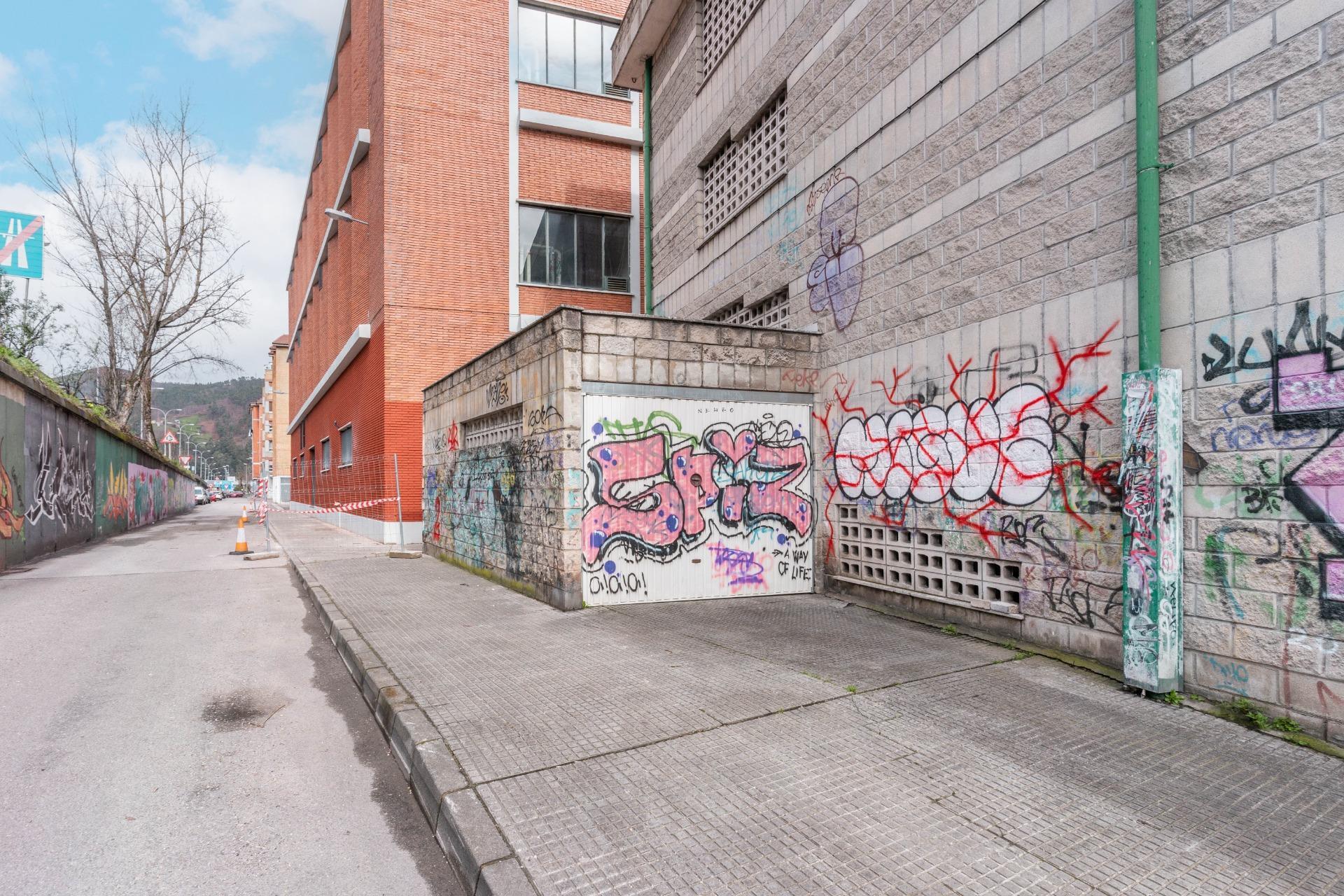 Garajes-Venta-Mieres-1068582-Foto-10