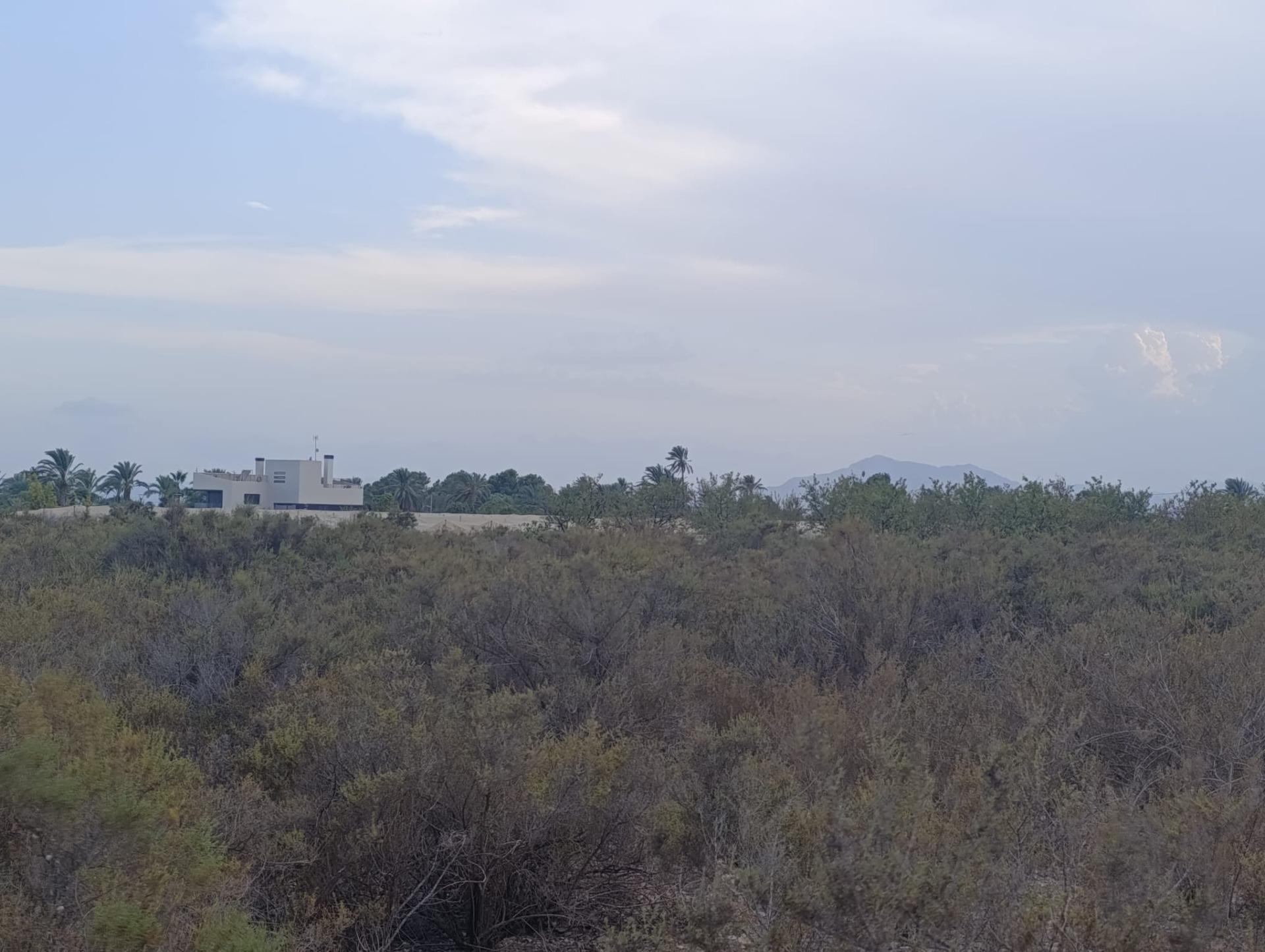Fincas y solares-Venta-Elche-1507522-Foto-5