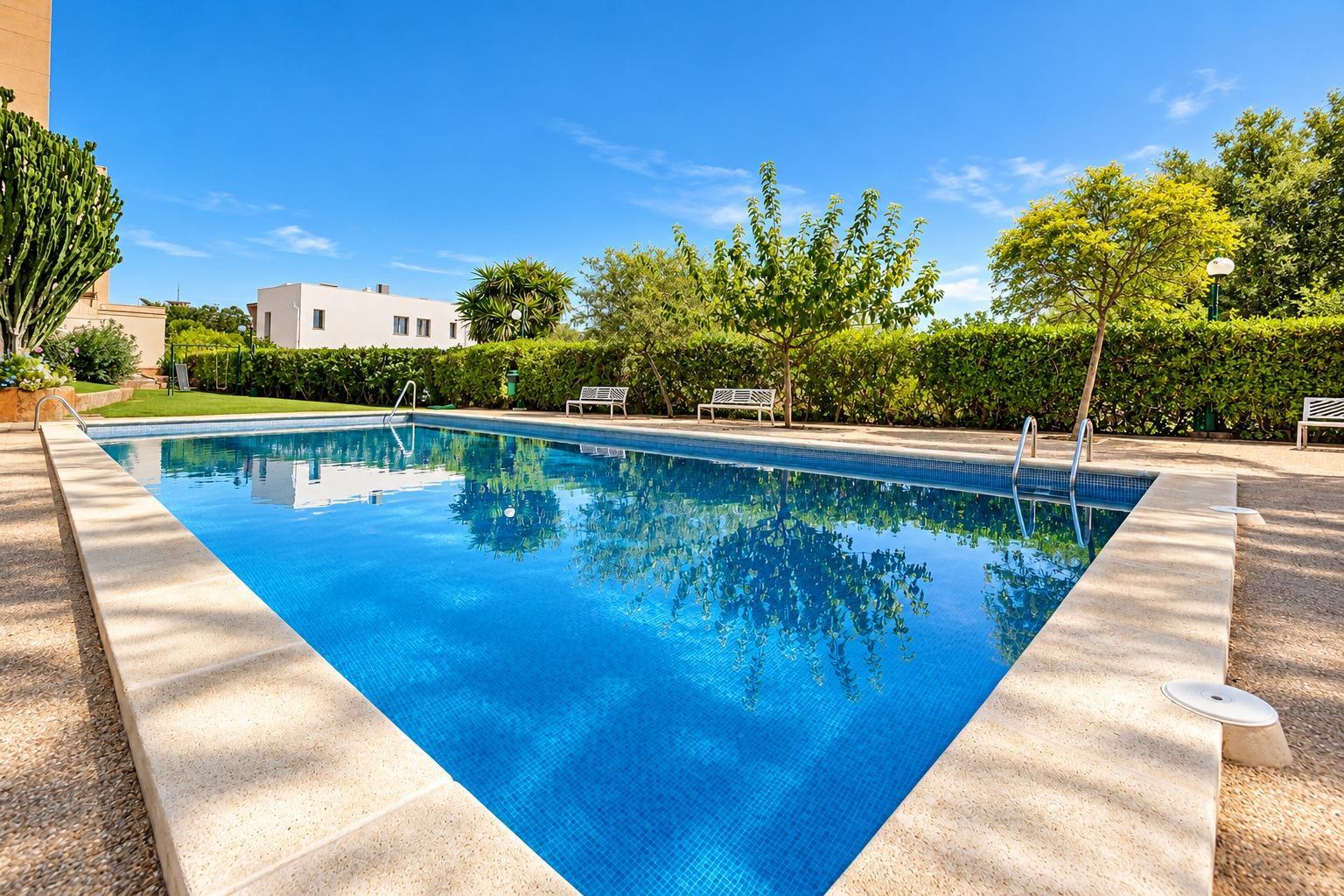 Pisos-Alquiler-Palma de Mallorca-2422986-Foto-16