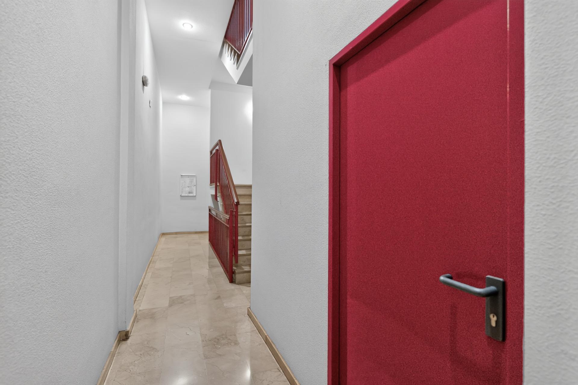 Pisos-Venta-Alicante-2422983-Foto-19