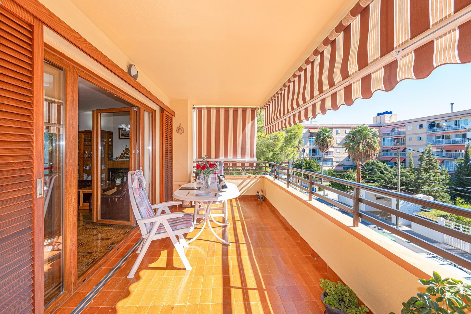 Pisos-Venta-Palma de Mallorca-2422962-Foto-5