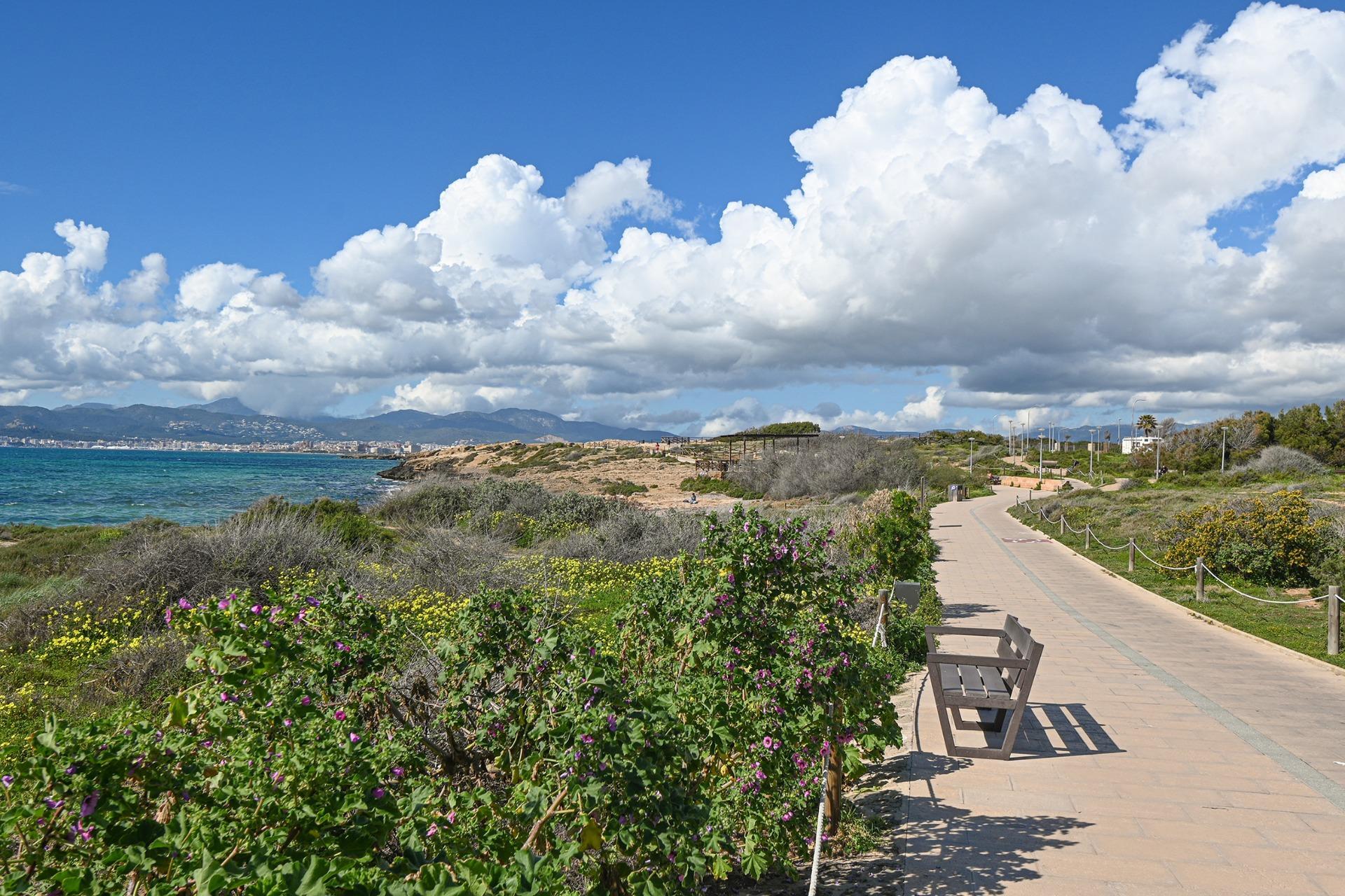 Pisos-Venta-Palma de Mallorca-2422962-Foto-2