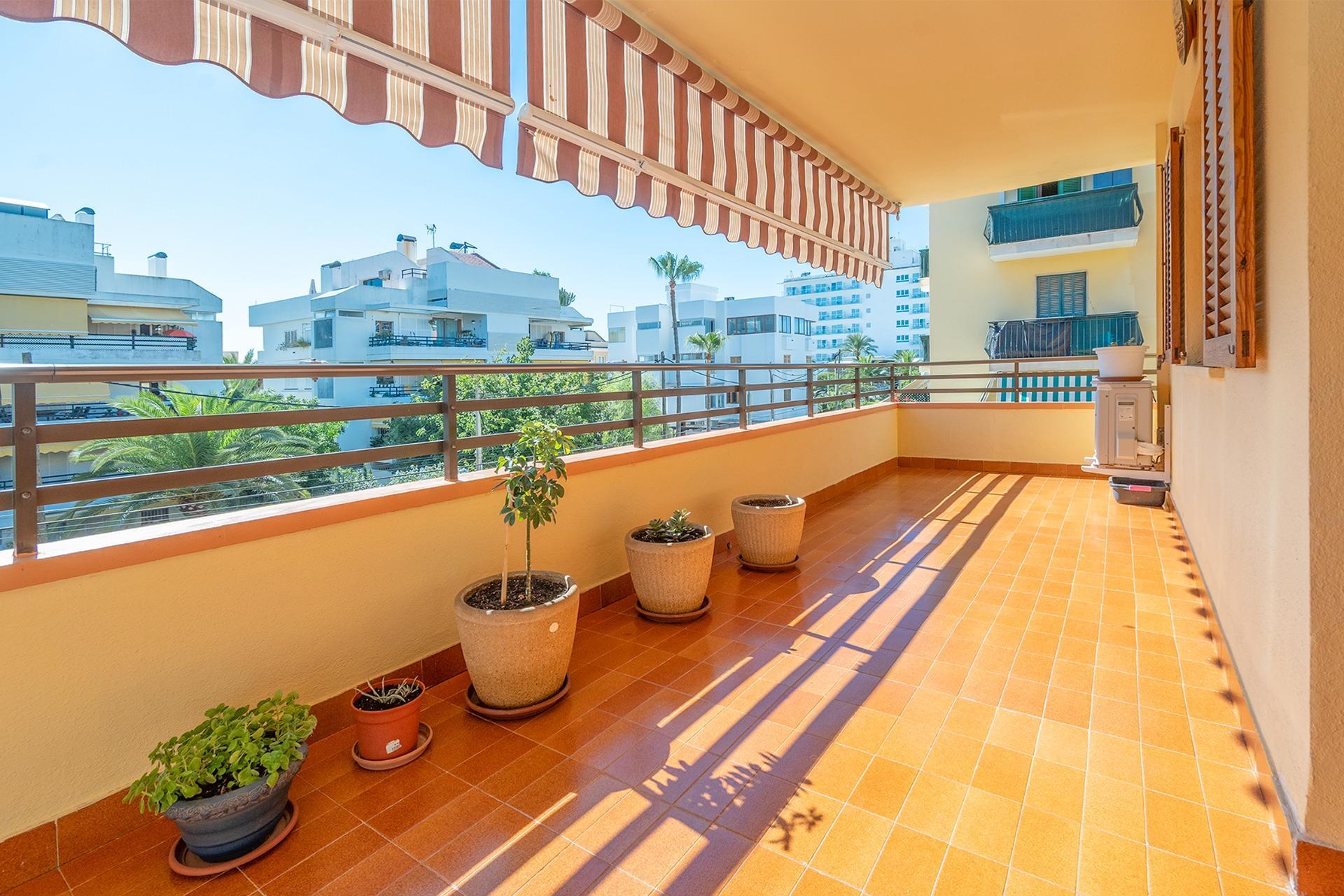 Pisos-Venta-Palma de Mallorca-2422962-Foto-8