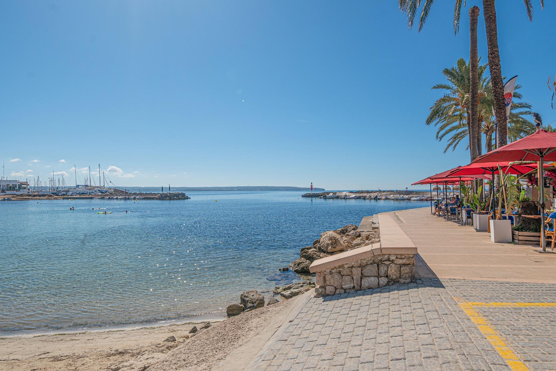 Pisos-Venta-Palma de Mallorca-2422962-Foto-44