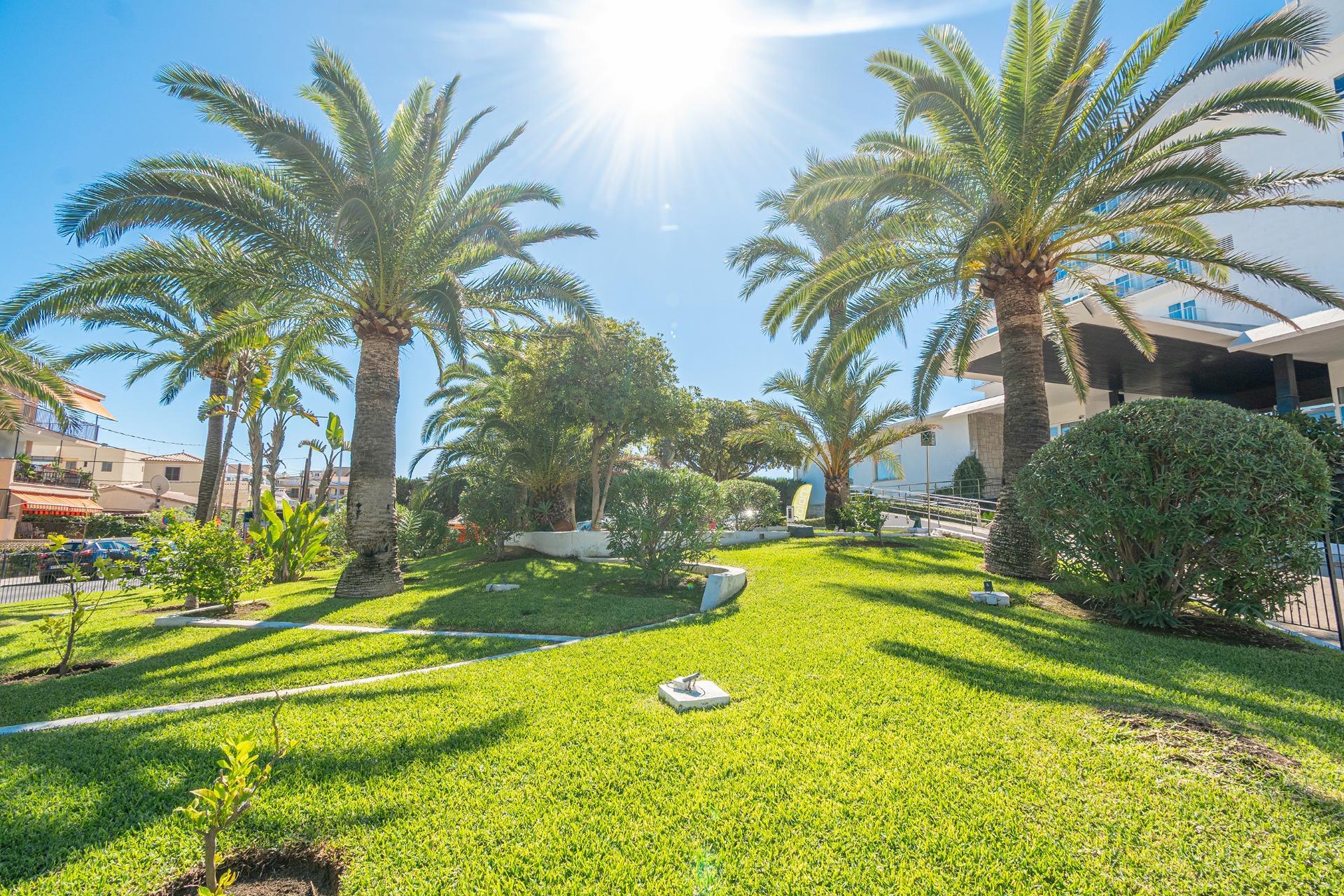 Pisos-Venta-Palma de Mallorca-2422962-Foto-43