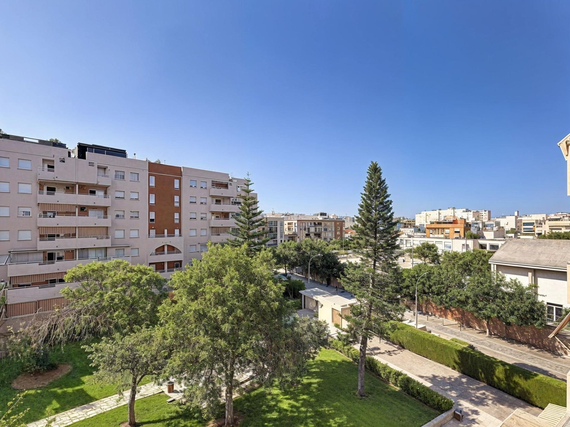 Pisos-Venta-Gandia-2411082-Foto-27