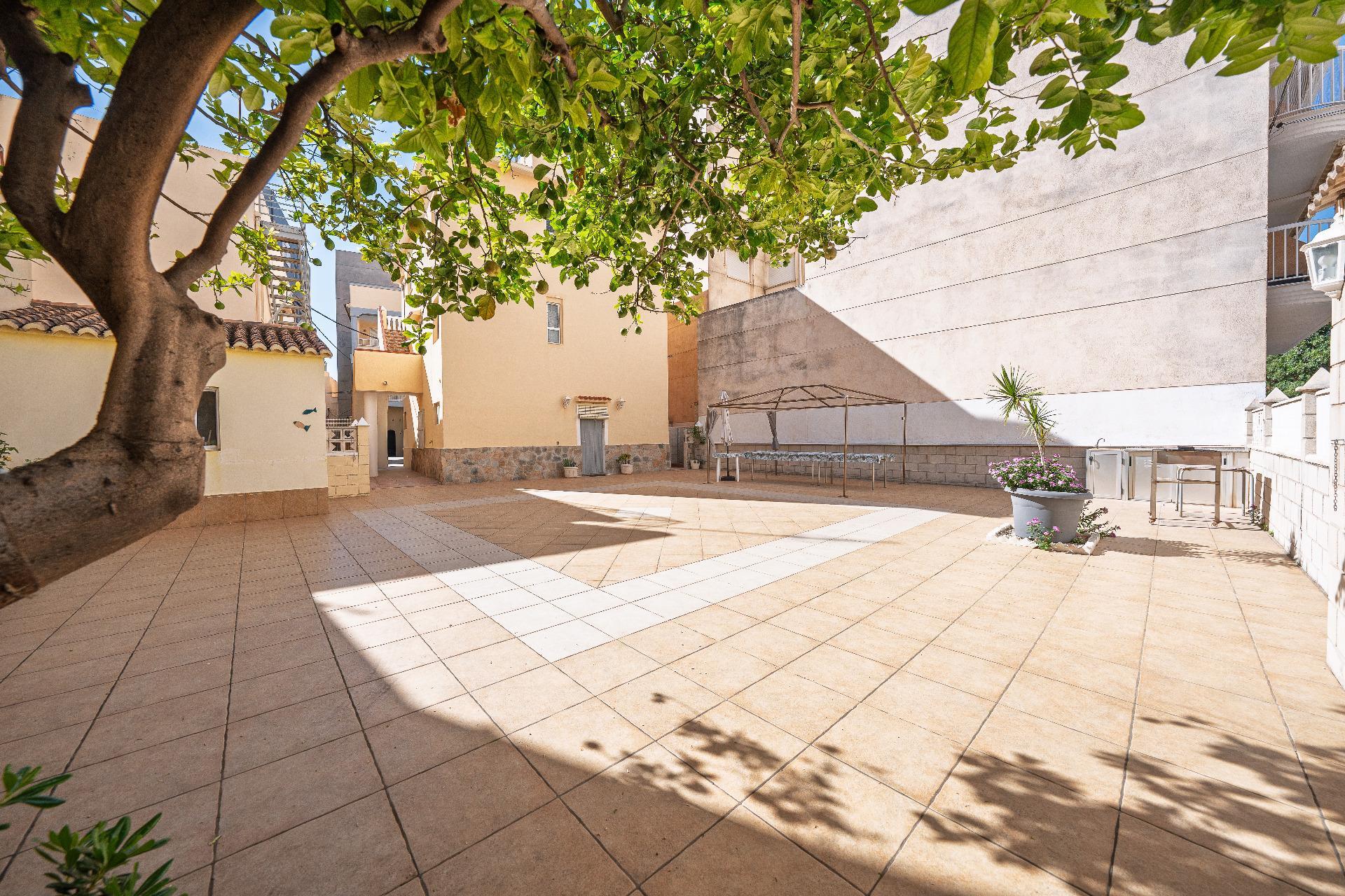 Fincas y solares-Venta-Miramar-2423384-Foto-6