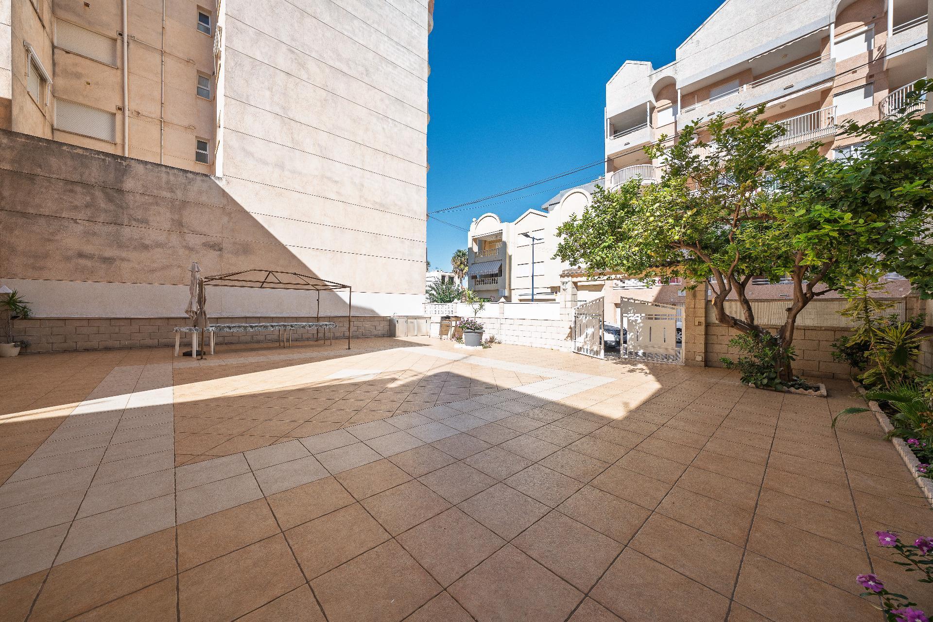 Fincas y solares-Venta-Miramar-2423384-Foto-8