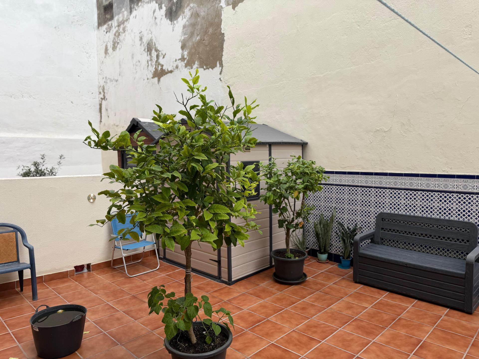Pisos-Venta-CÃ¡diz-2423393-Foto-3