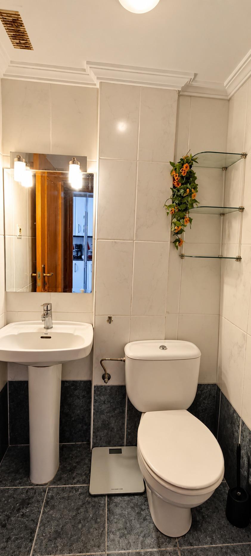 Casas o chalets-Venta-Murcia-2423396-Foto-11