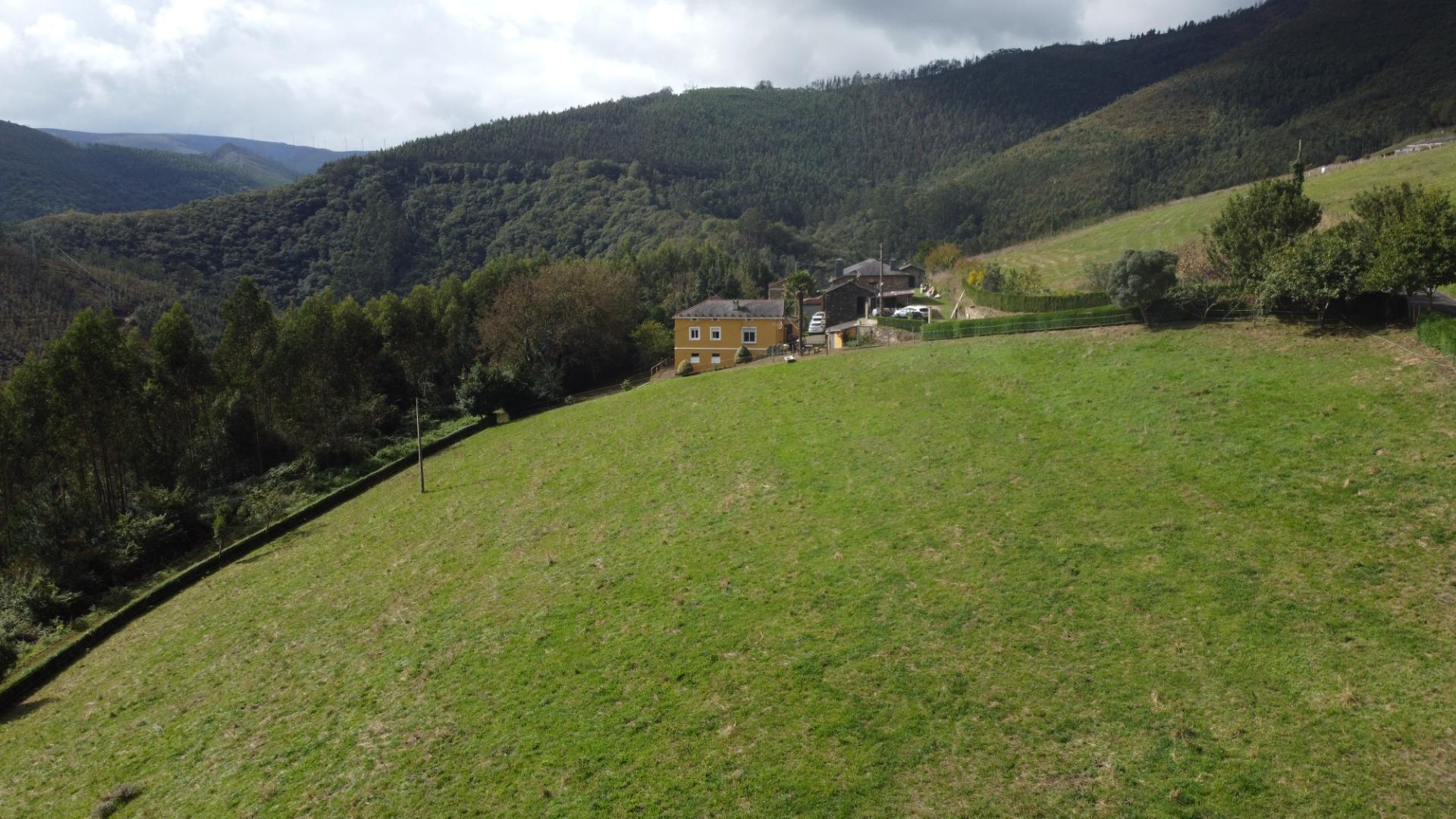 Casas o chalets-Venta-Castropol-2423402-Foto-43
