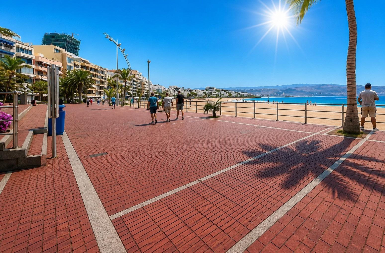 Pisos-Alquiler-Las Palmas de Gran Canaria-2423435